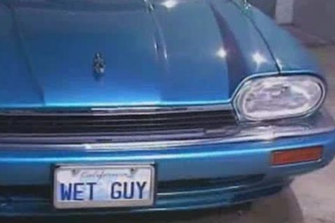 Tom Katt gets plowed By Max