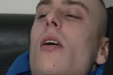 Joey's Christmas Bonus