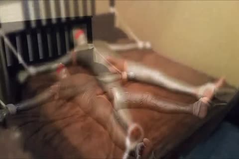 that dude Escaped After Four Hours All The more Reason To Give It one more Go!