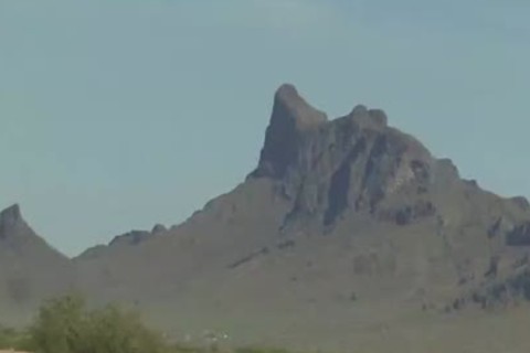 Tucson sperm - Scene 1 - Blue Alley Studios