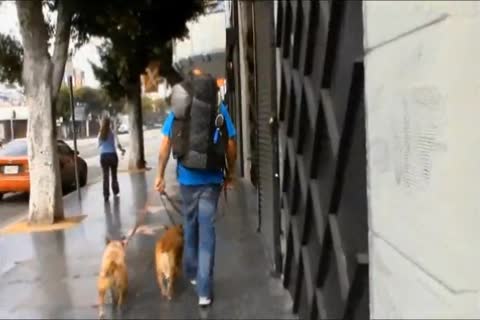 I Love Walking The Streets Looking For fellows To hammer Me Or Let Me suck Their rods And I Love It When They Take Me To Motels.