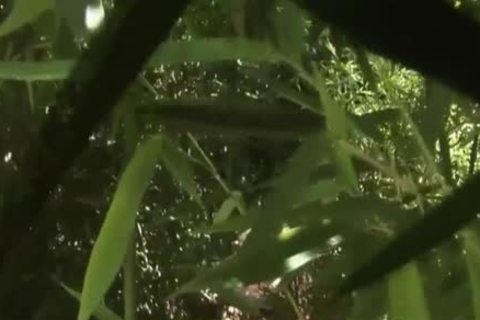 User_Uploaded_!!!!!!bukkake__47_.mp4