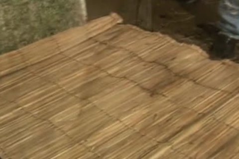 Quaker boy In Country Comes In To acquire pounded By chap