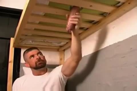 Bears In A Cozy Jail Acquire really Cozy With Each Others Large dicks