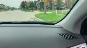 Pranksters - Dante Colle & Kit Cohen anal Hook up