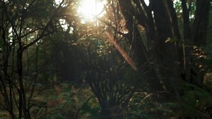 Tom Of Finland: 1957 - Kurtis Wolfe & Matthew Camp American Sex