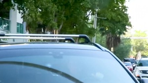 The Driver - Diego Sans, Damon Heart ass Nail