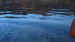 Sean & Josh: raw - American Action